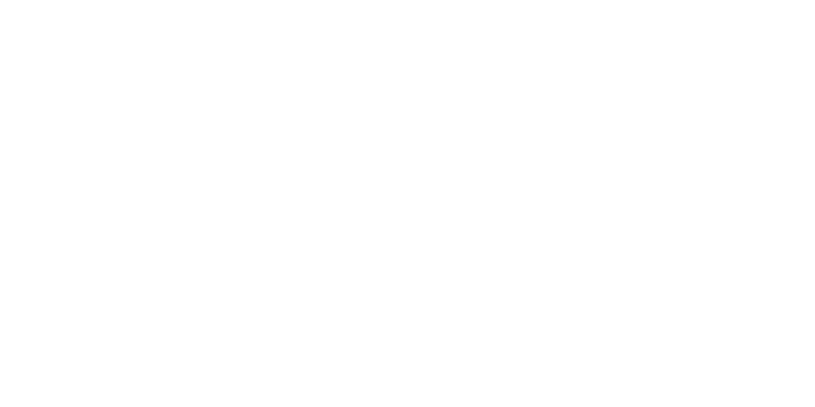 logo Collector au grand Palais